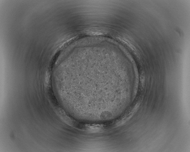 X0000112800359200910021124