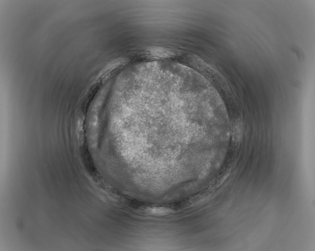 X0000112800360200910021124