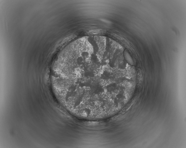 X0000112800361200910021124