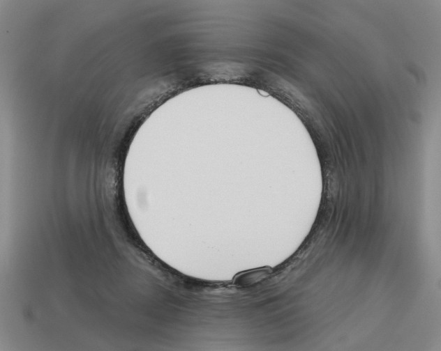 X0000112800362200910021124