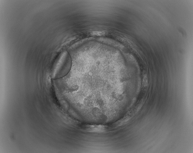 X0000112800363200910021124