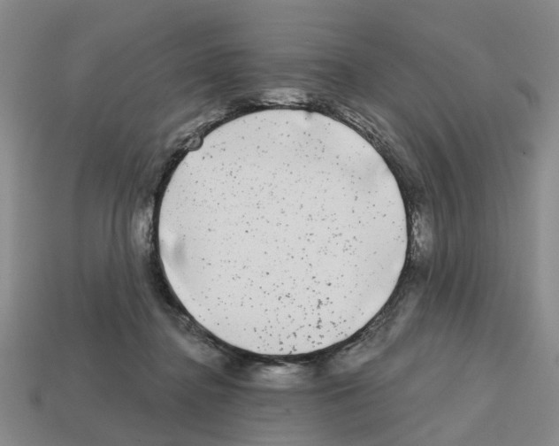 X0000112800364200910021125