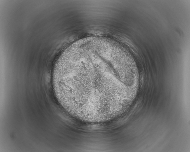 X0000112800365200910021125