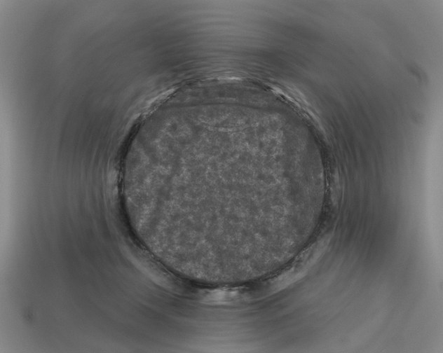 X0000112800366200910021125