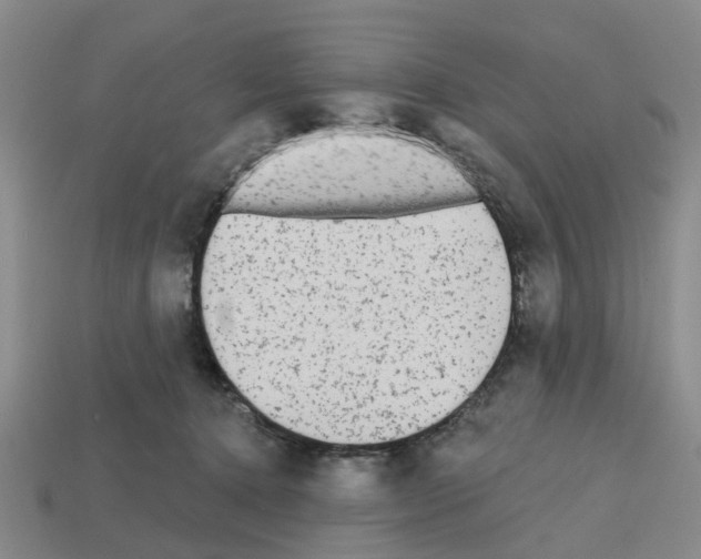 X0000112800368200910021125