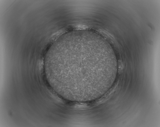 X0000112800369200910021125