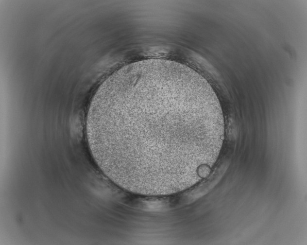 X0000112800370200910021125