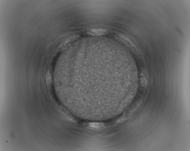 X0000112800371200910021125
