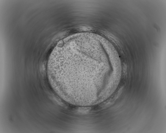 X0000112800373200910021125