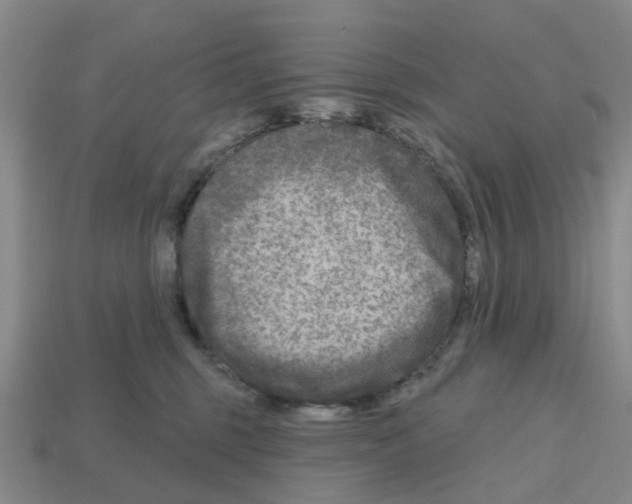 X0000112800375200910021125