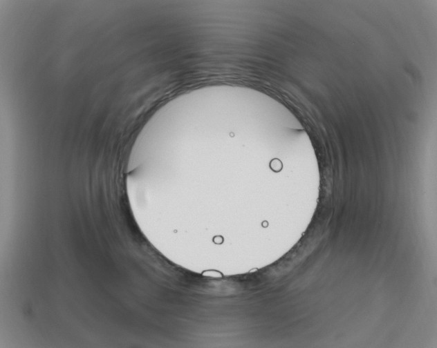 X0000112800376200910021125