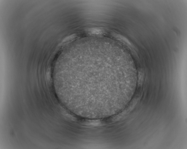 X0000112800377200910021125