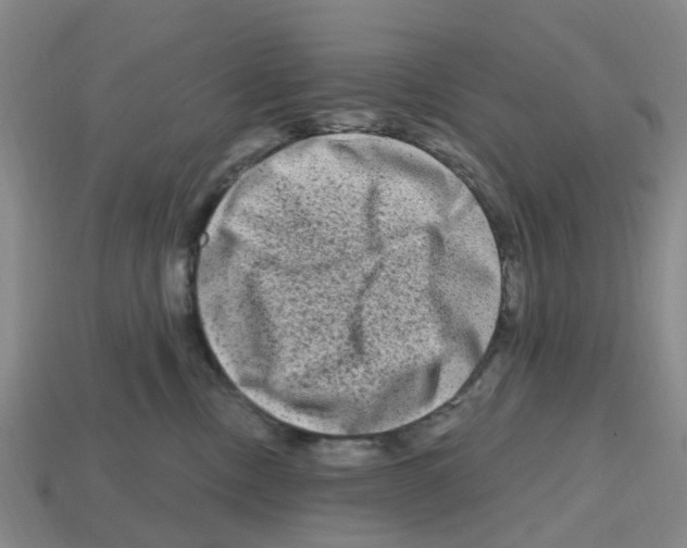 X0000112800378200910021125