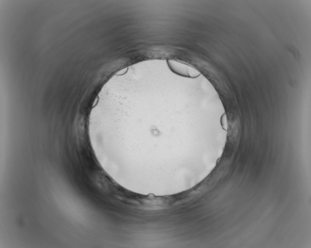 X0000112800381200910021125