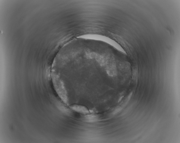 X0000112800383200910021125