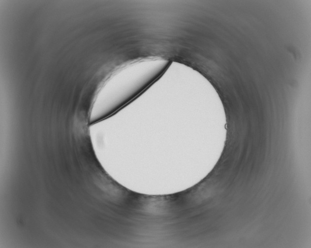 X0000112800384200910021125