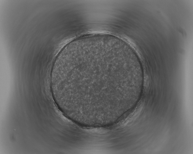 X0000112800385200910021124