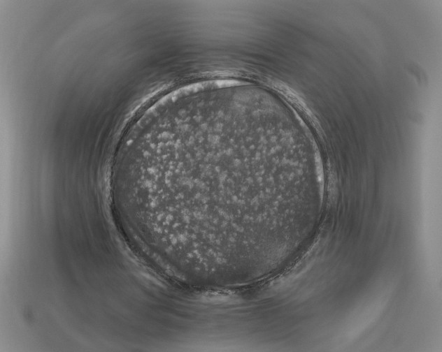 X0000112800386200910021124