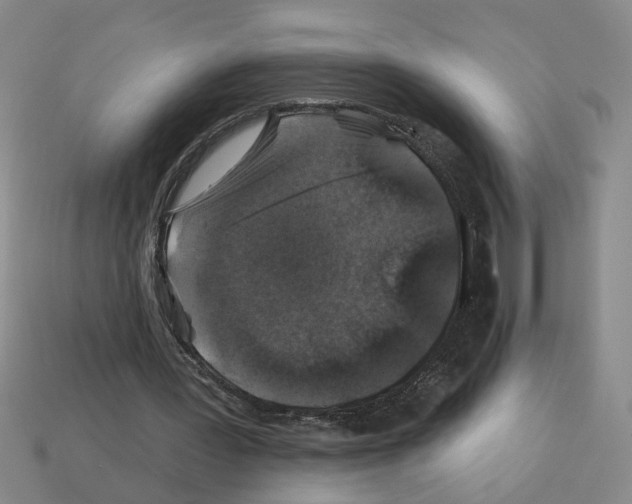 X0000112800387200910021124