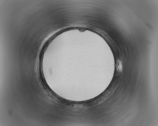 X0000112800388200910021124