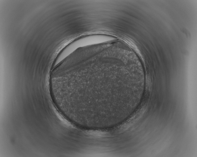 X0000112800389200910021124