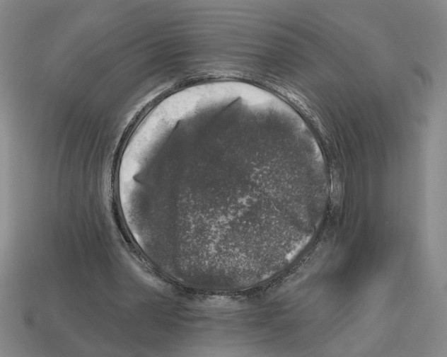 X0000112800390200910021124