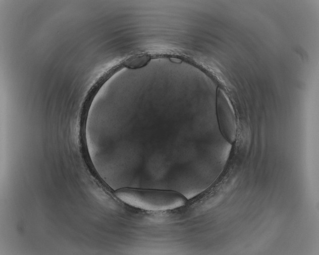 X0000112800391200910021124
