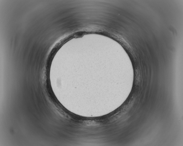 X0000112800392200910021124