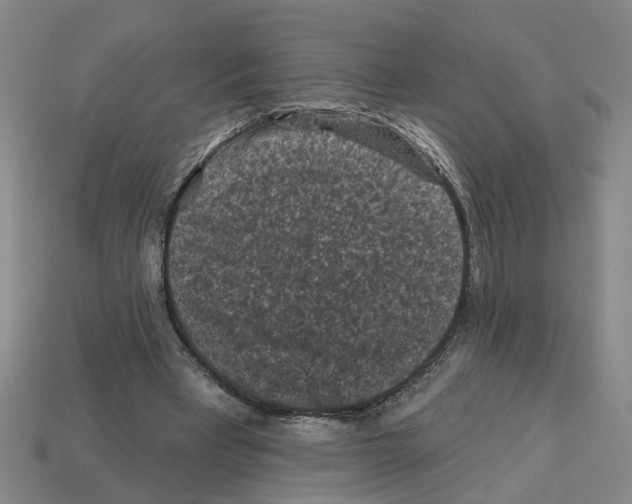 X0000112800393200910021124