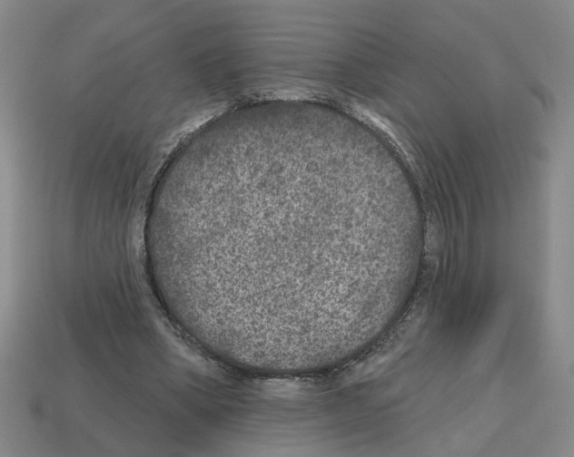 X0000112800394200910021124