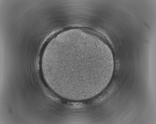 X0000112800395200910021124