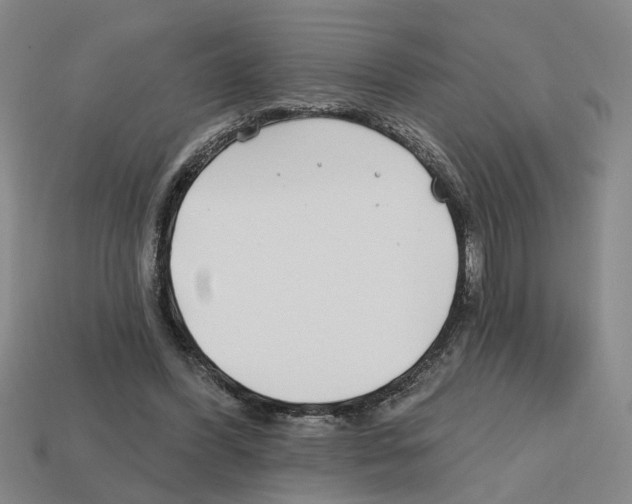 X0000112800396200910021124