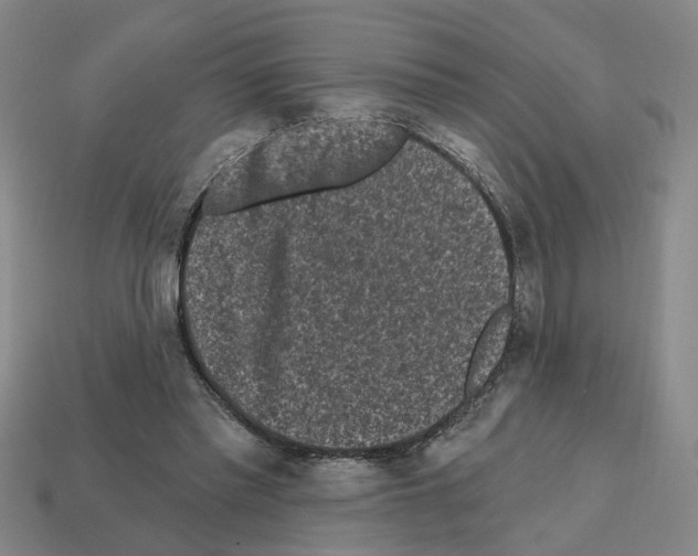 X0000112800397200910021124