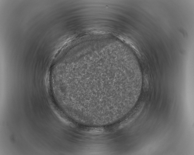 X0000112800398200910021124