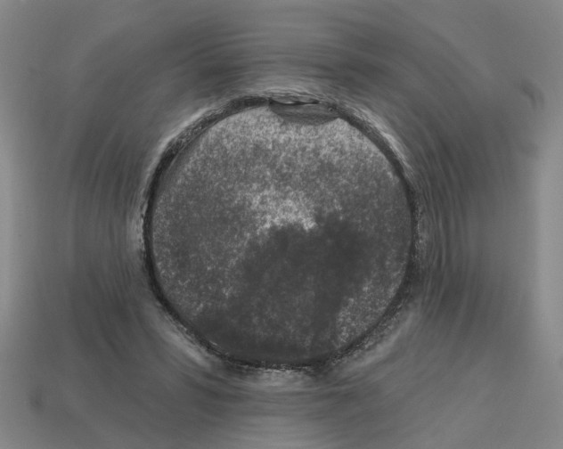 X0000112800399200910021124