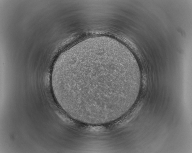 X0000112800401200910021124