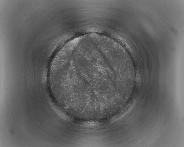 X0000112800402200910021124