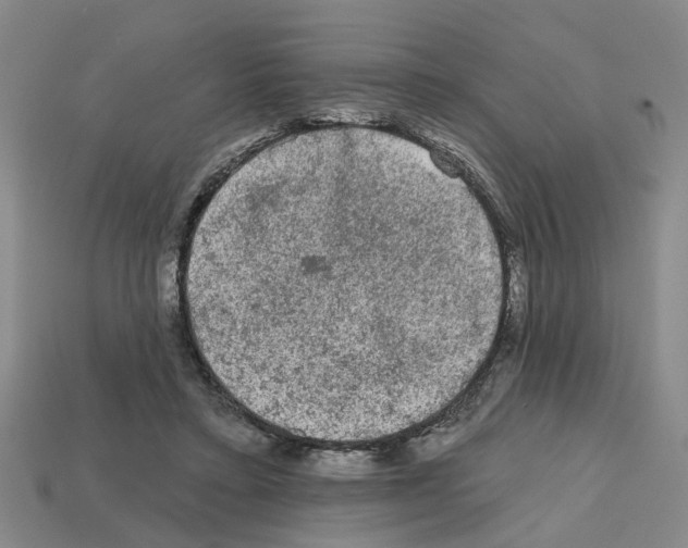 X0000112800403200910021124