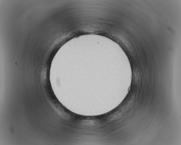 X0000112800404200910021124