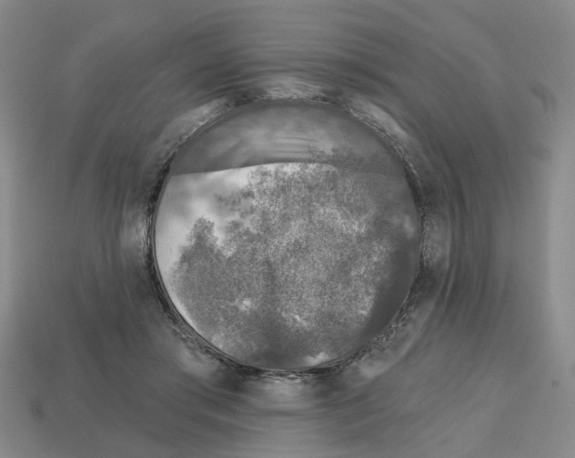 X0000112800405200910021124