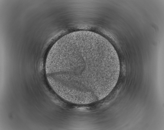 X0000112800407200910021124