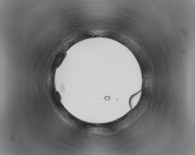 X0000112800408200910021124
