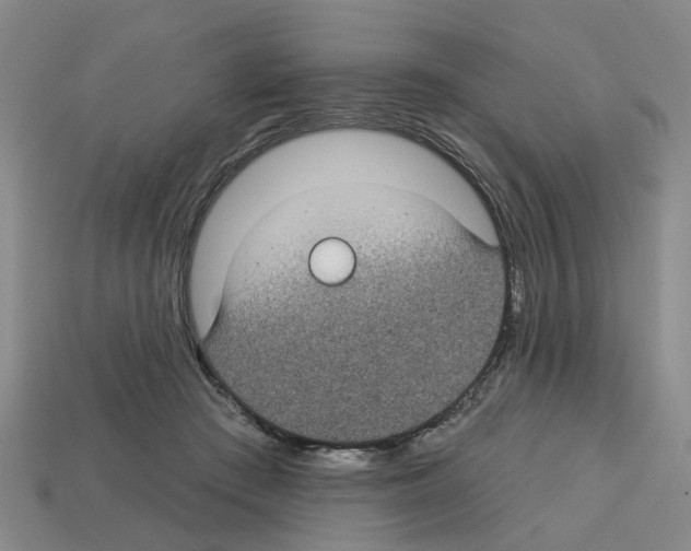 X0000112800409200910021124
