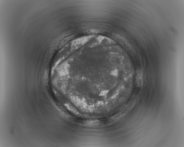 X0000112800410200910021124