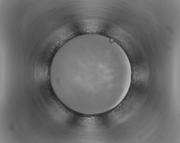 X0000112800411200910021124