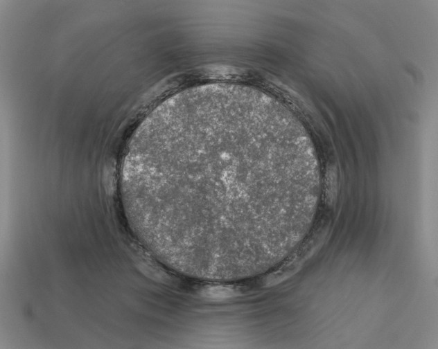 X0000112800413200910021124