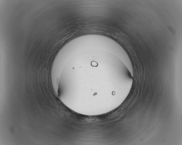 X0000112800415200910021124