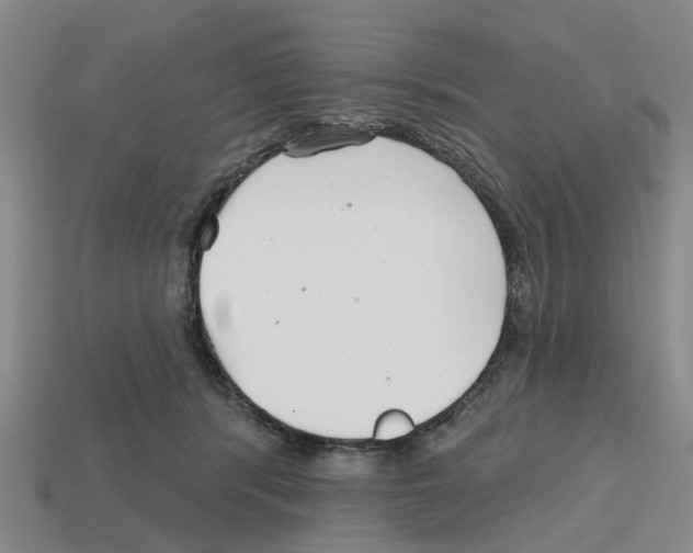X0000112800416200910021124