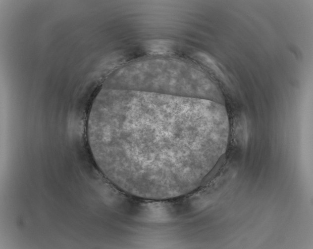 X0000112800417200910021124