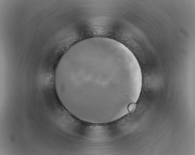 X0000112800419200910021124